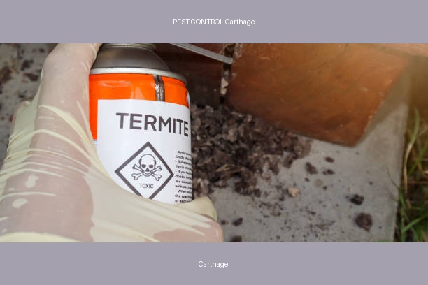 PEST CONTROL Carthage
